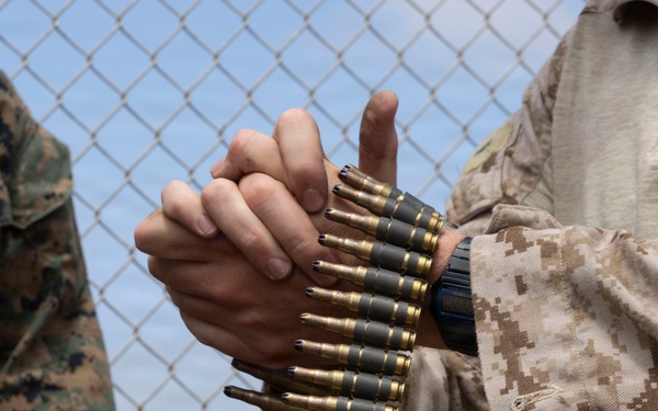 U.S. Marines with 3d Assault Amphibian Battalion conduct PEX
