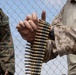 U.S. Marines with 3d Assault Amphibian Battalion conduct PEX