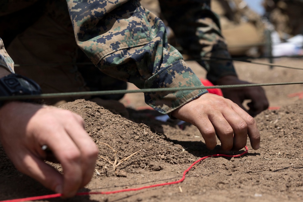 U.S. Marines with 3d Assault Amphibian Battalion conduct PEX
