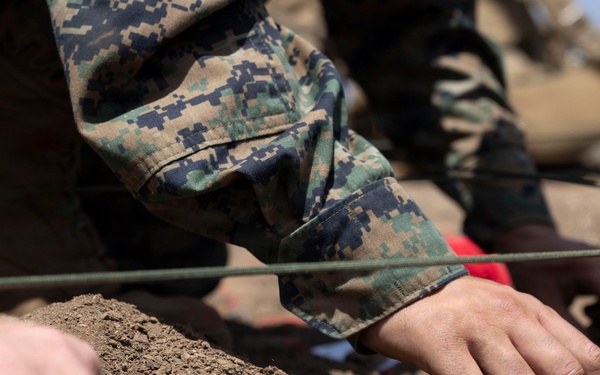 U.S. Marines with 3d Assault Amphibian Battalion conduct PEX