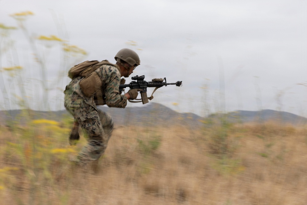 U.S. Marines with 3d Assault Amphibian Battalion conduct PEX