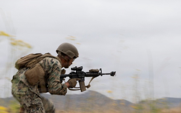 U.S. Marines with 3d Assault Amphibian Battalion conduct PEX