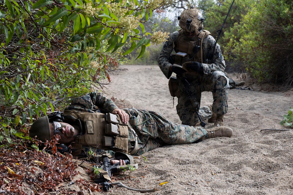 U.S. Marines with 3d Assault Amphibian Battalion conduct PEX