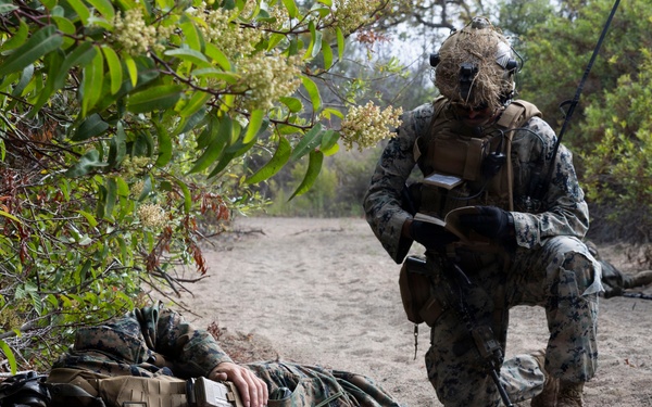 U.S. Marines with 3d Assault Amphibian Battalion conduct PEX