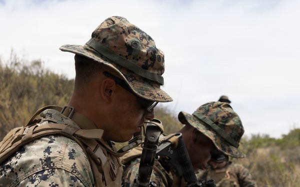 U.S. Marines with 3d Assault Amphibian Battalion conduct PEX