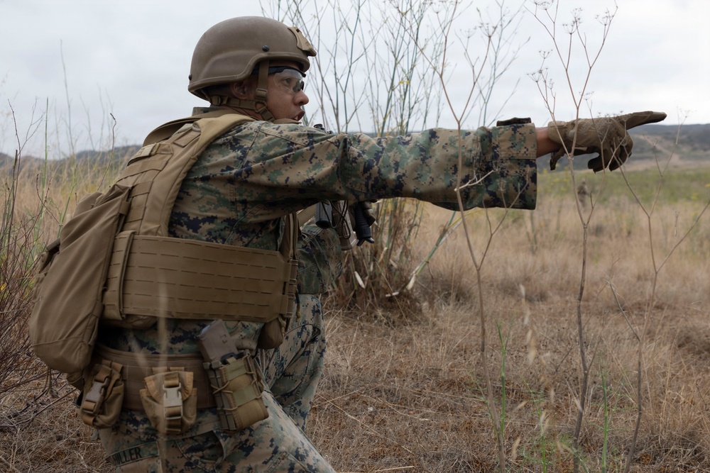U.S. Marines with 3d Assault Amphibian Battalion conduct PEX