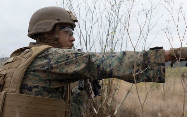 U.S. Marines with 3d Assault Amphibian Battalion conduct PEX