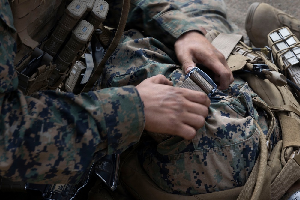 U.S. Marines with 3d Assault Amphibian Battalion conduct PEX