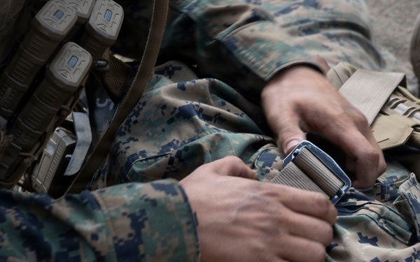 U.S. Marines with 3d Assault Amphibian Battalion conduct PEX