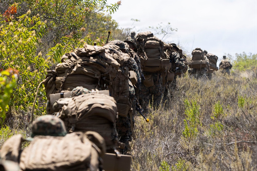 U.S. Marines with 3d Assault Amphibian Battalion conduct PEX