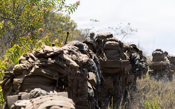 U.S. Marines with 3d Assault Amphibian Battalion conduct PEX