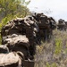 U.S. Marines with 3d Assault Amphibian Battalion conduct PEX
