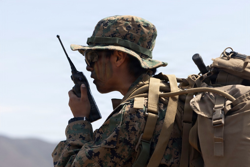 U.S. Marines with 3d Assault Amphibian Battalion conduct PEX