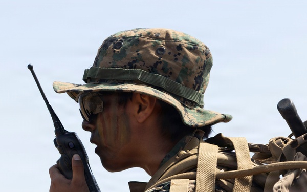 U.S. Marines with 3d Assault Amphibian Battalion conduct PEX