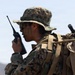 U.S. Marines with 3d Assault Amphibian Battalion conduct PEX