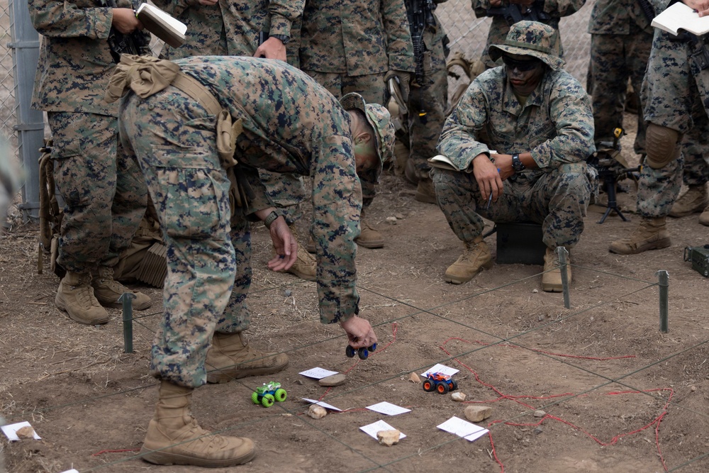 U.S. Marines with 3d Assault Amphibian Battalion conduct PEX