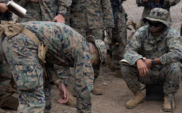 U.S. Marines with 3d Assault Amphibian Battalion conduct PEX