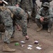 U.S. Marines with 3d Assault Amphibian Battalion conduct PEX
