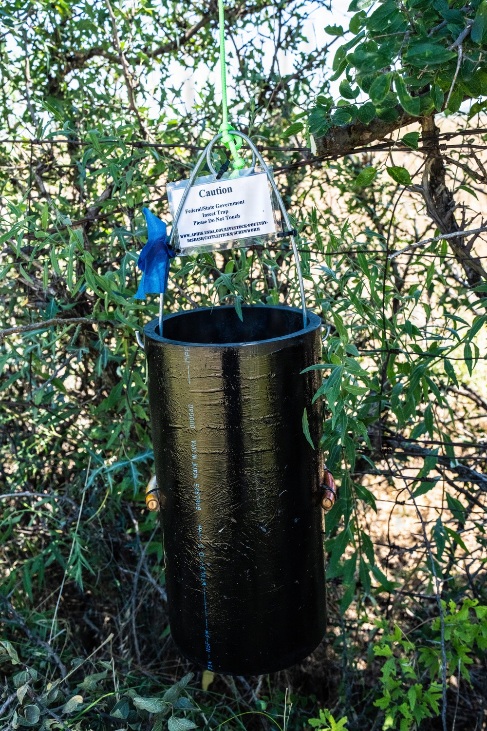 San Angelo Strike Team Uses Baited Sticky Lure Traps to Track Screwworm Activity in Texas