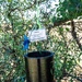 San Angelo Strike Team Uses Baited Sticky Lure Traps to Track Screwworm Activity in Texas