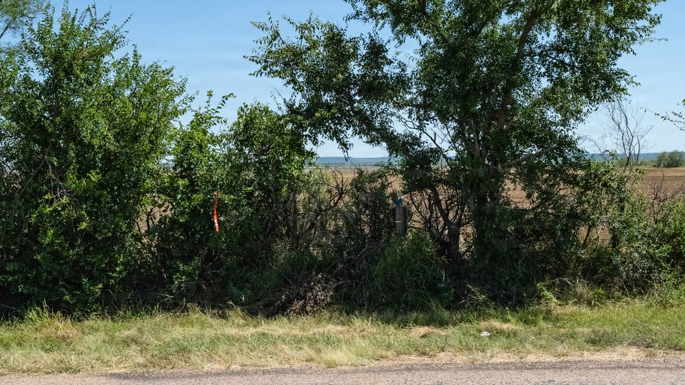 San Angelo Strike Team Uses Baited Sticky Lure Traps to Track Screwworm Activity in Texas