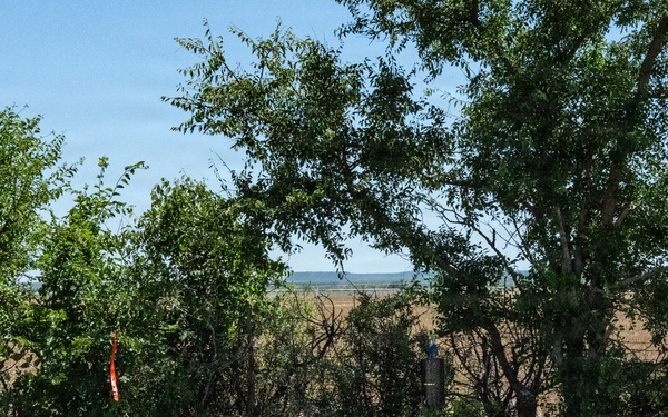 San Angelo Strike Team Uses Baited Sticky Lure Traps to Track Screwworm Activity in Texas