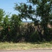 San Angelo Strike Team Uses Baited Sticky Lure Traps to Track Screwworm Activity in Texas