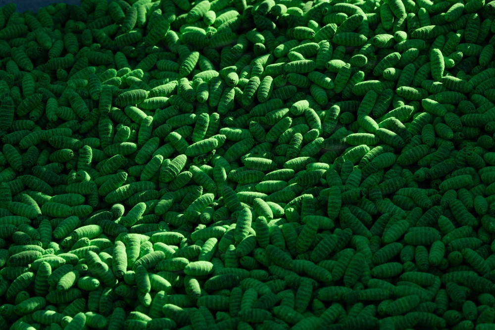 New World Screwworm Sterile Fly Ground Release Chamber Operations in Texas
