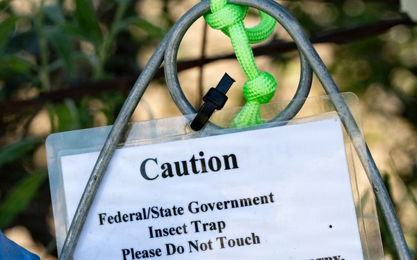 San Angelo Strike Team Uses Baited Sticky Lure Traps to Track Screwworm Activity in Texas