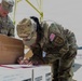 JTF-DC Boat Transfer