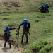 Rolling Resolve: Indian Army Conducts Convoy Operations at Khaan Quest 2026