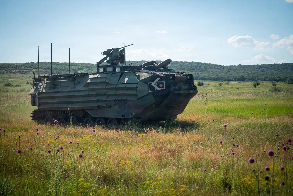 U.S. Marine Corps Maj. Gen. Raymond Adams observes combined arms live fire exercise during Sea Breeze 26