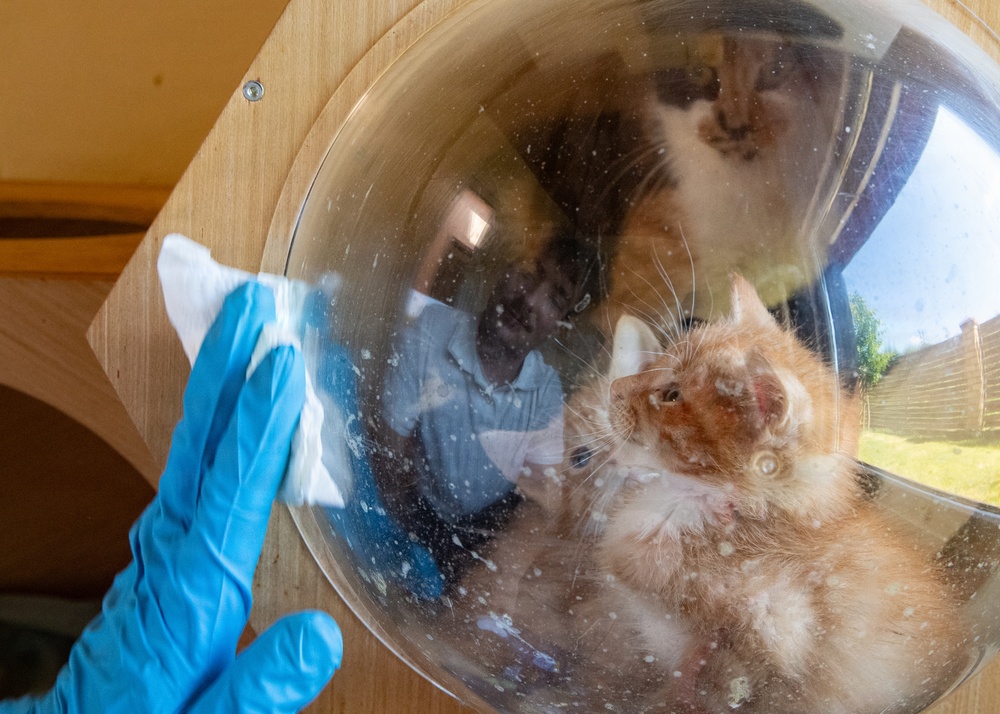 USS Mount Whitney Sailors Visit Animal Shelter