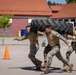 U.S. Army Soldiers strengthen NATO partnership during military competition on Romanian Flag Day