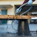 The 2026 Europe-Mediterranean Disinterment Team Prepares Remains for Transfer Case