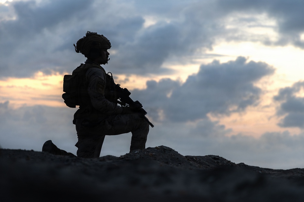 Fleet Exercise 250 | Spanish Marines Conduct Amphibious Assault