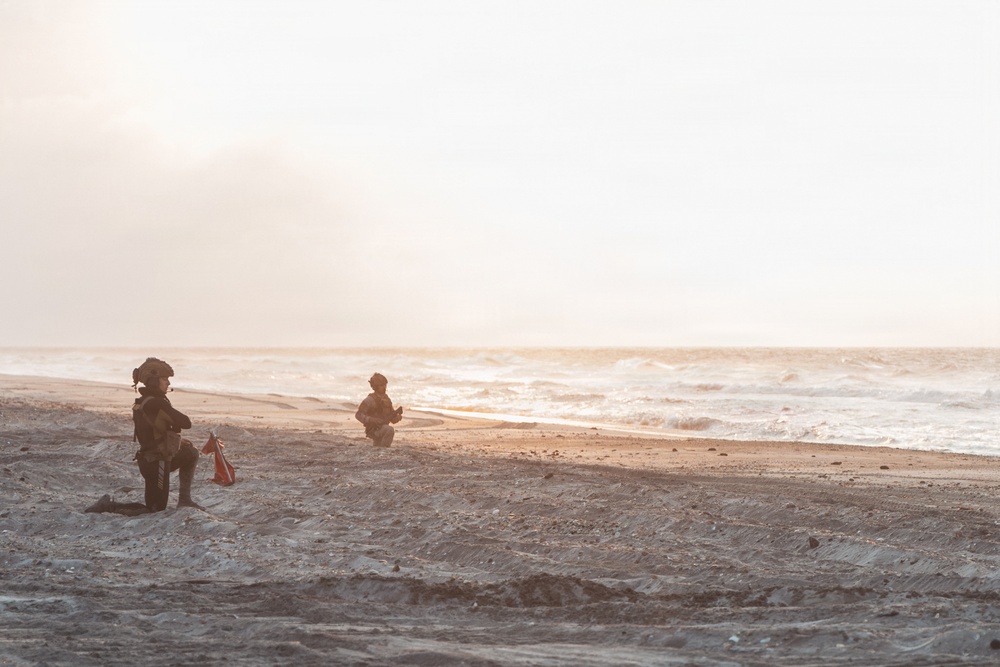 Fleet Exercise 250 | Spanish Marines Conduct Amphibious Assault