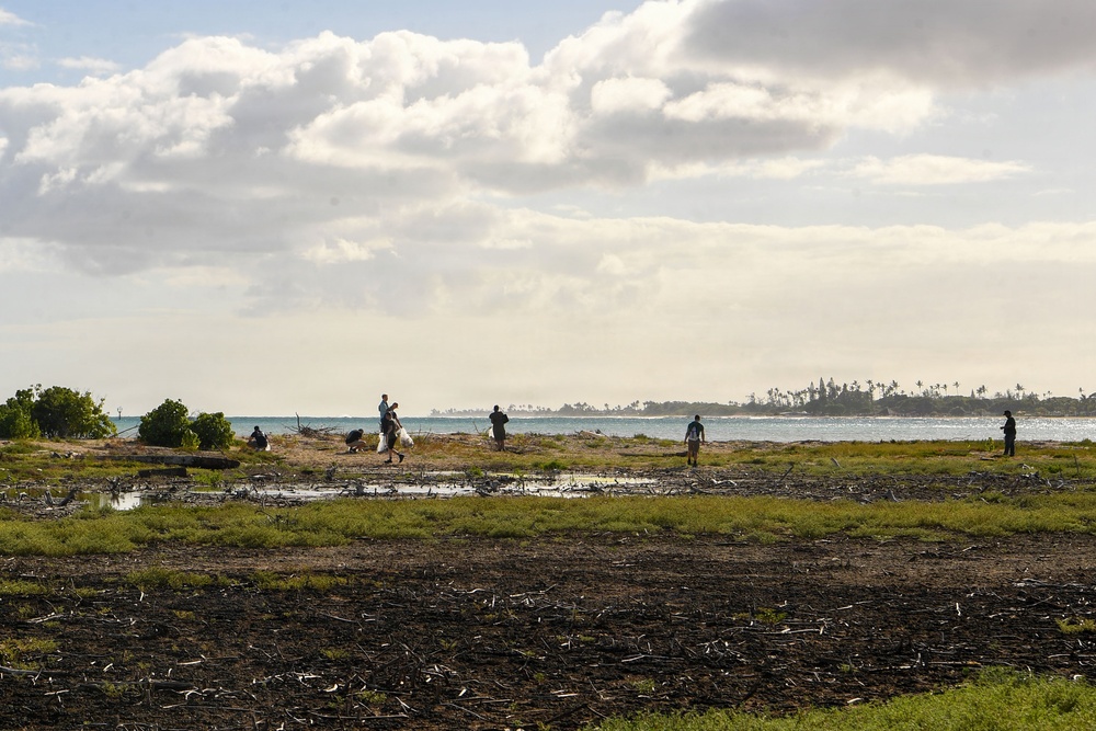 USS Theodore Roosevelt Carrier Strike Group and Carrier Air Wing 11 Sailors Participate in a Beach Clean Up During RIMPAC 26