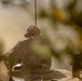 Minnesota National Guard partners with Croatia for Exercise Combat Power 26