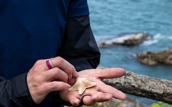 Coastal Connections: Celebrating America’s 250th Birthday