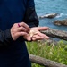 Coastal Connections: Celebrating America’s 250th Birthday