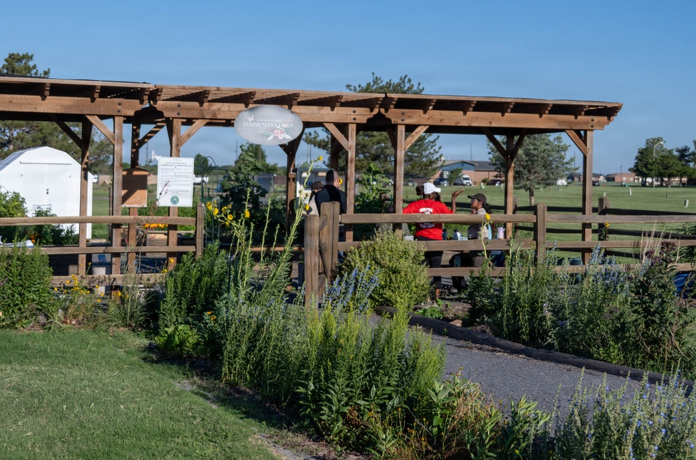 Bees, butterflies, and biodiversity: The 2nd annual Altus AFB BioBlitz