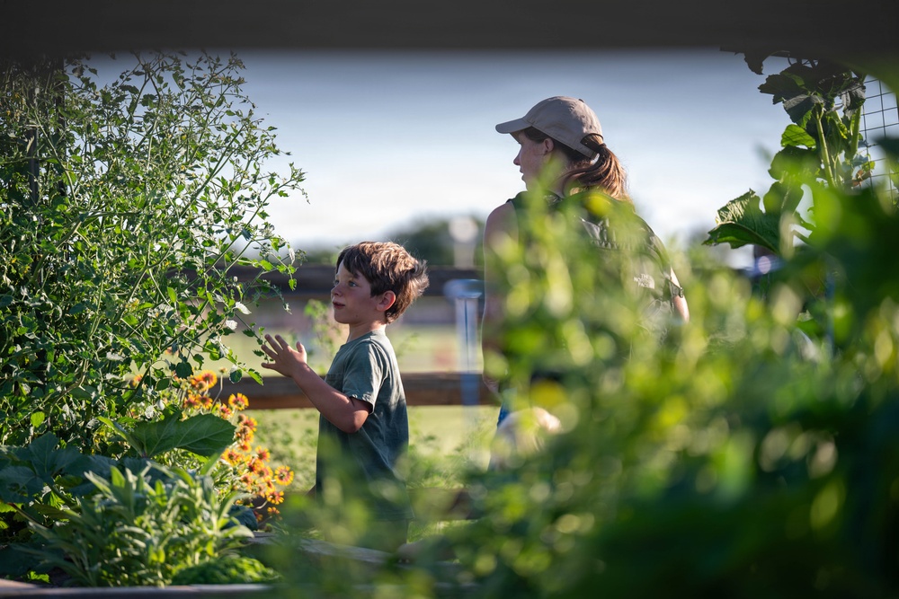 Bees, butterflies, and biodiversity: The 2nd annual Altus AFB BioBlitz