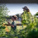 Bees, butterflies, and biodiversity: The 2nd annual Altus AFB BioBlitz