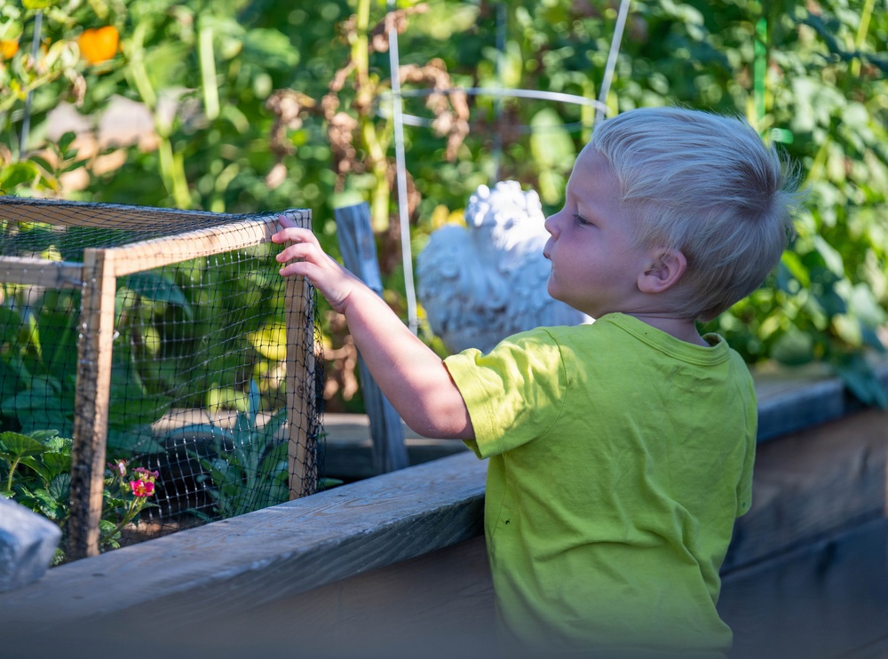 Bees, butterflies, and biodiversity: The 2nd annual Altus AFB BioBlitz