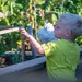 Bees, butterflies, and biodiversity: The 2nd annual Altus AFB BioBlitz