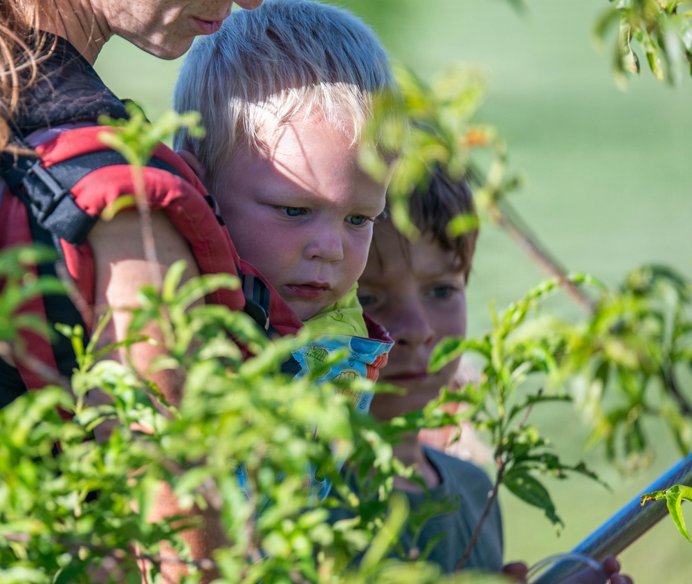 Bees, butterflies, and biodiversity: The 2nd annual Altus AFB BioBlitz