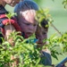 Bees, butterflies, and biodiversity: The 2nd annual Altus AFB BioBlitz