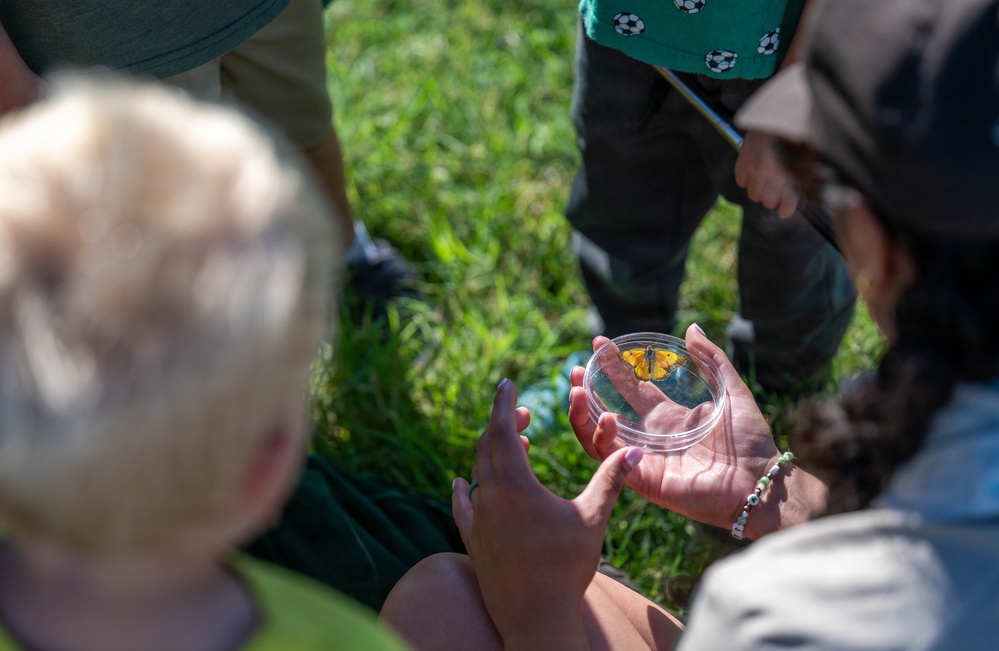 Bees, butterflies, and biodiversity: The 2nd annual Altus AFB BioBlitz
