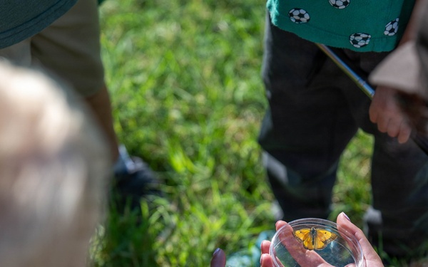Bees, butterflies, and biodiversity: The 2nd annual Altus AFB BioBlitz